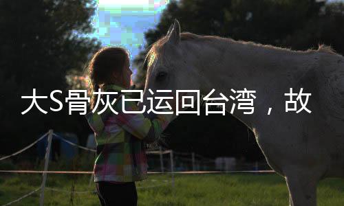 大S骨灰已運回臺灣，故鄉(xiāng)安息之所的歸宿