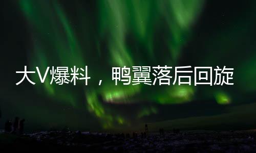 大V爆料，鴨翼落后回旋鏢效應(yīng)直戳美國人痛點
