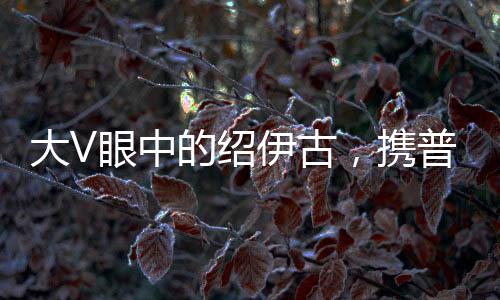 大V眼中的紹伊古，攜普京重托而來(lái)，展現(xiàn)俄中友好新篇章