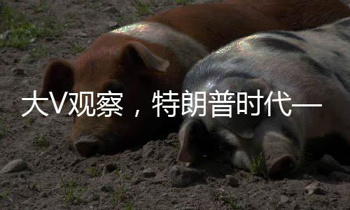 大V觀察，特朗普時(shí)代——美國近三十年布局灰飛煙滅