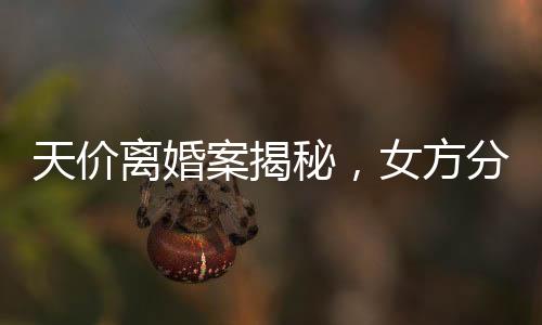 天價(jià)離婚案揭秘，女方分獲巨額財(cái)產(chǎn)，四億天價(jià)究竟有何內(nèi)幕？
