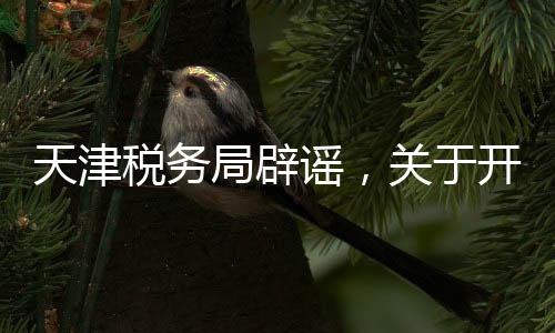 天津稅務(wù)局辟謠，關(guān)于開展稅務(wù)抽查的傳聞，系屬不實(shí)