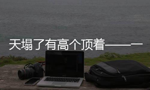 天塌了有高個(gè)頂著——一幅生動(dòng)具象的社會(huì)寫(xiě)照