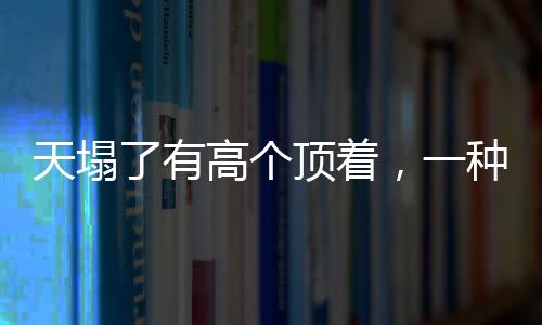 天塌了有高個頂著，一種社會現(xiàn)象的具象化解讀