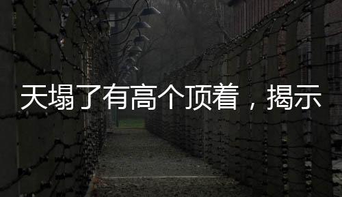 天塌了有高個頂著，揭示社會中的擔(dān)當(dāng)精神與力量支撐