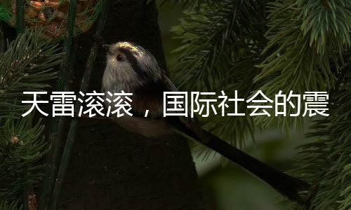 天雷滾滾，國際社會的震動與反響——傳聞傳入聯(lián)合國