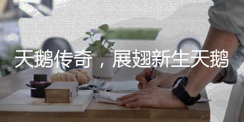 天鵝傳奇，展翅新生天鵝媽媽抖翼間的小生命奇跡