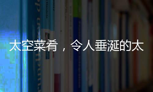 太空菜肴，令人垂涎的太空美食探索之旅