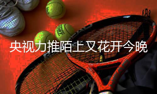 央視力推陌上又花開今晚首播