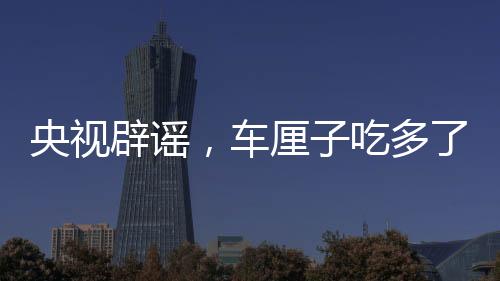央視辟謠，車厘子吃多了會中毒？一文揭曉真相