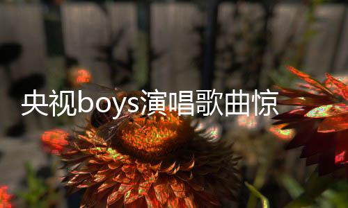 央視boys演唱歌曲驚現(xiàn)易錯字，網(wǎng)友熱議引關(guān)注