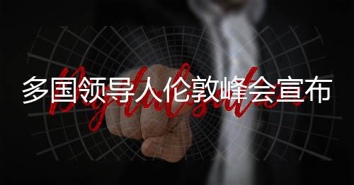 多國領(lǐng)導(dǎo)人倫敦峰會宣布挺烏四步驟，團(tuán)結(jié)合作應(yīng)對全球挑戰(zhàn)