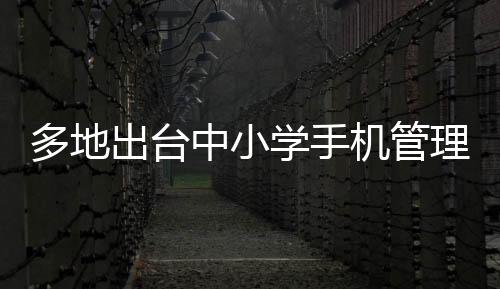多地出臺中小學(xué)手機管理禁令，為孩子們的健康成長護航