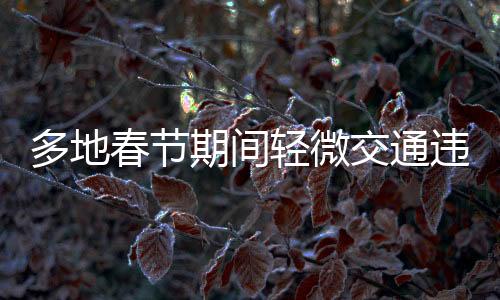 多地春節(jié)期間輕微交通違法不處罰，營造和諧節(jié)日氛圍