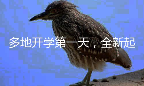 多地開學(xué)第一天，全新起點(diǎn)，期待與現(xiàn)實(shí)的交織