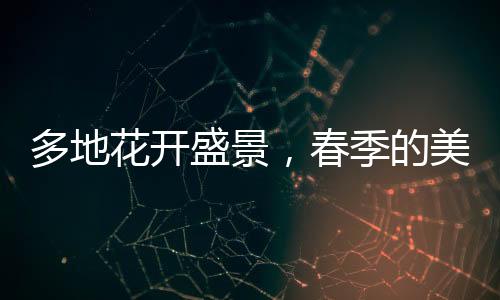 多地花開盛景，春季的美麗畫卷正悄然展開