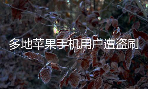 多地蘋果手機(jī)用戶遭盜刷，警惕移動(dòng)支付安全漏洞
