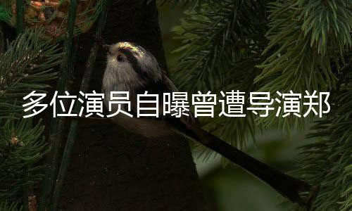 多位演員自曝曾遭導(dǎo)演鄭某峰侵害，娛樂圈震撼揭示性丑聞事件！揭開業(yè)內(nèi)深層次黑暗面的調(diào)查正酣。這一事件引發(fā)了社會各界的廣泛關(guān)注，對娛樂圈的職業(yè)道德和倫理規(guī)范提出了嚴峻挑戰(zhàn)。接下來，我們將從十個方面深入探討這一事件。