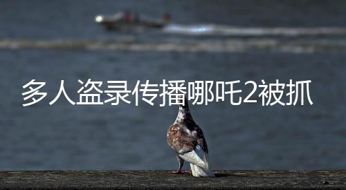 多人盜錄傳播哪吒2被抓，法律為版權(quán)護(hù)航
