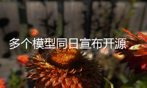 多個模型同日宣布開源，科技界迎來創(chuàng)新繁榮時代
