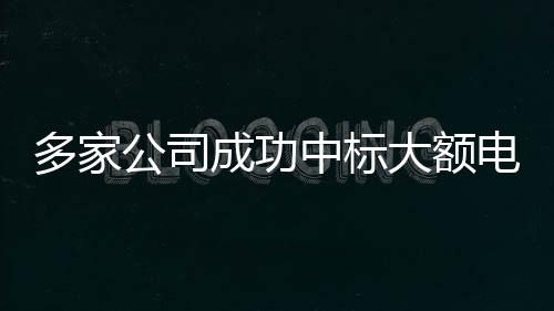 多家公司成功中標(biāo)大額電網(wǎng)采購(gòu)訂單，推動(dòng)能源領(lǐng)域合作邁向新高度