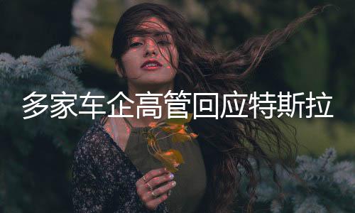 多家車企高管回應(yīng)特斯拉FSD入華，行業(yè)內(nèi)的不同聲音與應(yīng)對(duì)策略