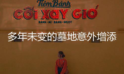 多年未變的墓地意外增添新墳，鄉(xiāng)村墓葬現象的觀察與反思