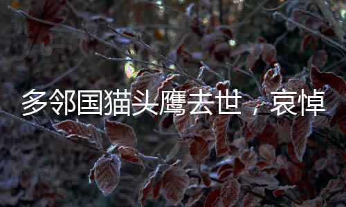 多鄰國貓頭鷹去世，哀悼一位無聲的守護者