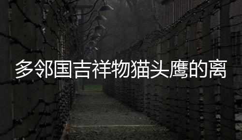 多鄰國吉祥物貓頭鷹的離世，一個令人惋惜的告別