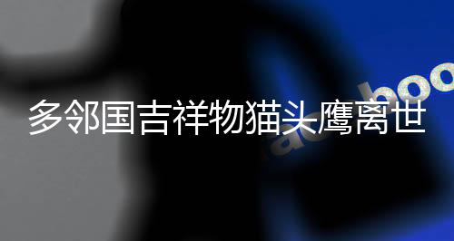 多鄰國吉祥物貓頭鷹離世，引發(fā)廣泛哀思