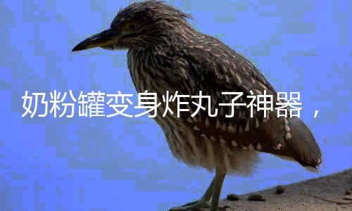 奶粉罐變身炸丸子神器，創(chuàng)意家居DIY引領(lǐng)新潮流