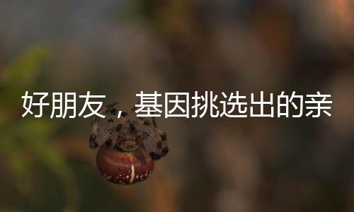 好朋友，基因挑選出的親人