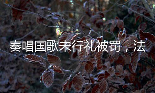 奏唱國歌未行禮被罰，法律意識(shí)的覺醒與社會(huì)責(zé)任的體現(xiàn)