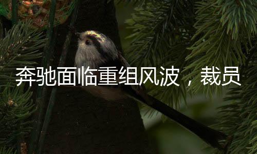 奔馳面臨重組風(fēng)波，裁員15%賠償N+9政策揭秘