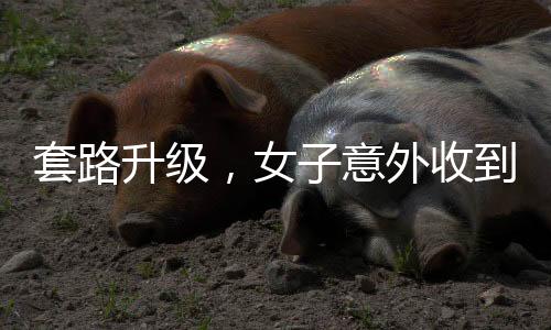 套路升級，女子意外收到騙子五十萬元轉(zhuǎn)賬，一場充滿智慧的博弈揭秘