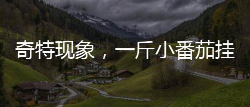 奇特現(xiàn)象，一斤小番茄掛地鐵門把手，下車后只剩半斤