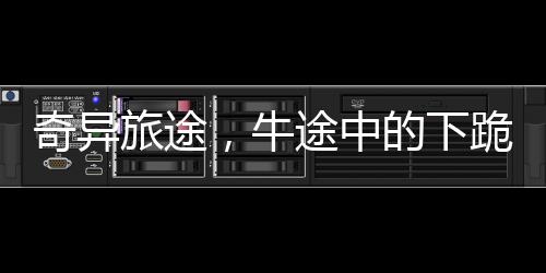 奇異旅途，牛途中的下跪驚呆主人