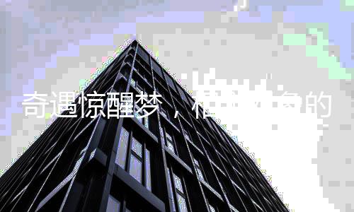 奇遇驚醒夢，相親對象的清晨之約