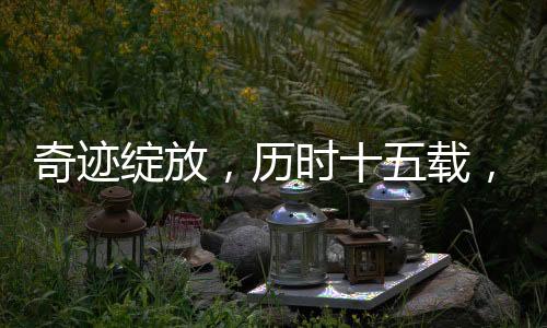 奇跡綻放，歷時十五載，尸體花首次盛開