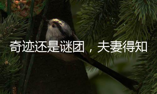 奇跡還是謎團(tuán)，夫妻得知女兒已死35年后復(fù)活