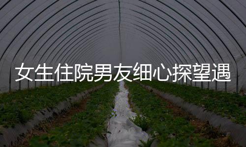 女生住院男友細(xì)心探望遇上女方爸爸 見證愛的力量與親情交織的美好時刻