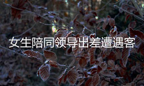 女生陪同領導出差遭遇客戶猥褻事件曝光