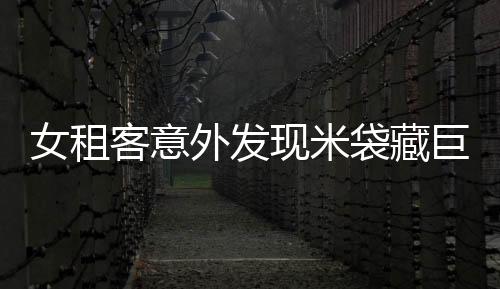 女租客意外發(fā)現(xiàn)米袋藏巨款，揭秘背后的故事