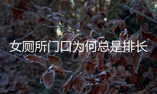 女廁所門口為何總是排長隊(duì)？背后的真相探尋