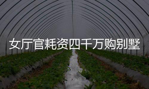 女廳官耗資四千萬購別墅，奢華裝修費(fèi)高達(dá)八百五十萬——揭秘其背后的故事