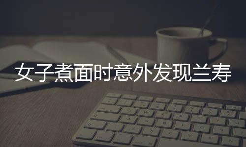 女子煮面時(shí)意外發(fā)現(xiàn)蘭壽金魚，面條細(xì)節(jié)引發(fā)網(wǎng)友熱議——面的奇遇