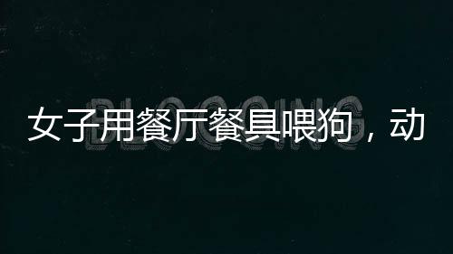 女子用餐廳餐具喂狗，動(dòng)物福利與人性的碰撞