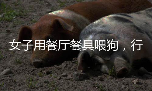 女子用餐廳餐具喂狗，行為引發(fā)熱議