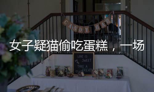 女子疑貓偷吃蛋糕，一場(chǎng)人貓之間的誤解引發(fā)的深思