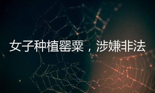 女子種植罌粟，涉嫌非法種植的九百余株隱患解析